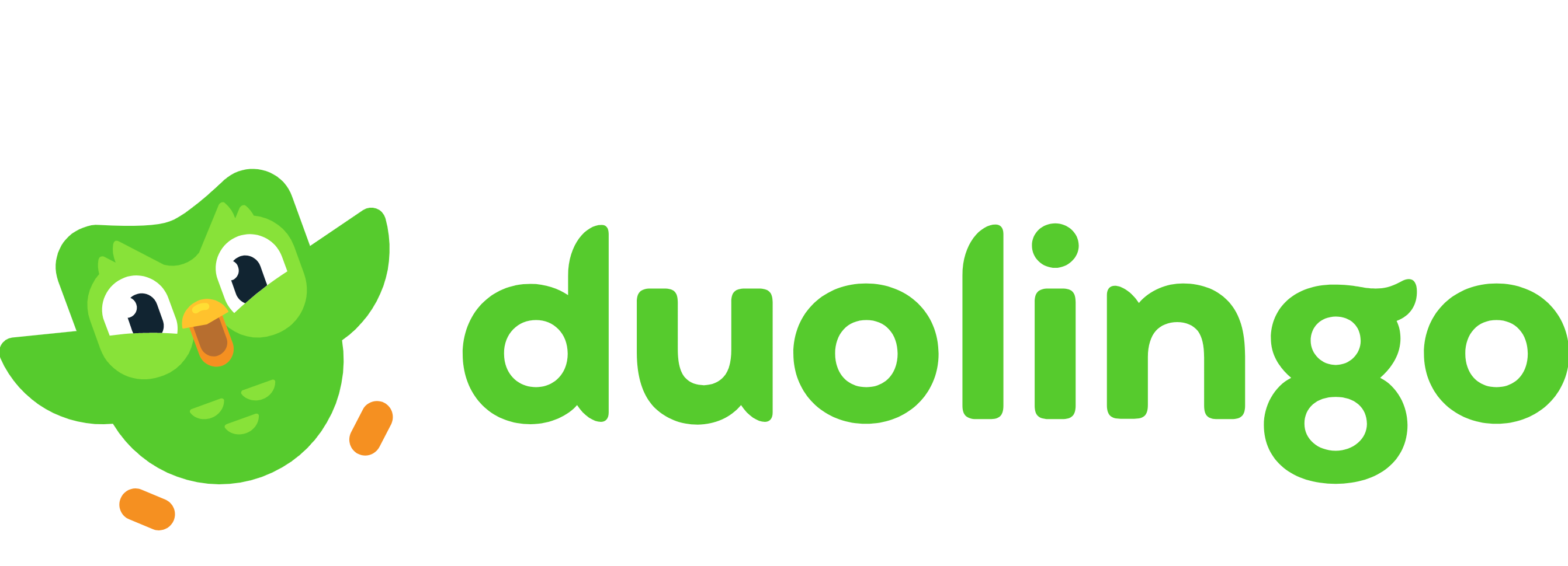Duolingo_mascot_logo.png
